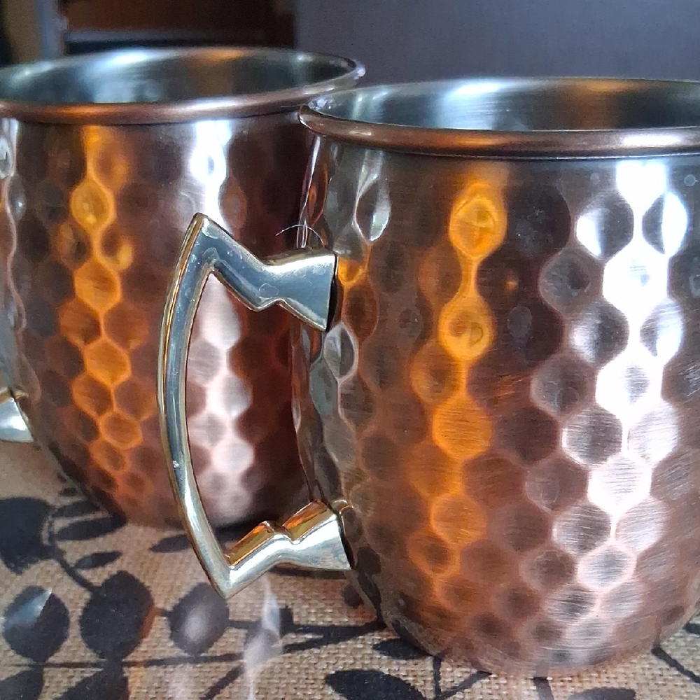 ECO ONE SILVER INTERNATIONAL COPPER MUGS